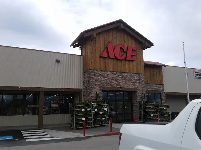Front entrance of an Ace Hardware store with red ACE sign above a stone and wood façade, plant racks on either side, and a truck parked in front